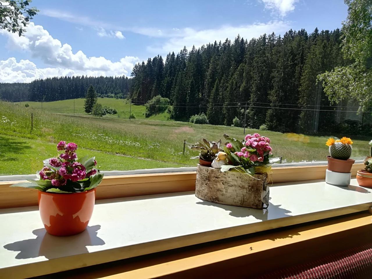 Hotel Kaltenbach Schönwalde Kültér fotó